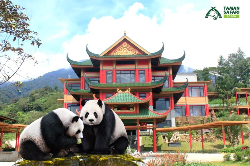 Taman Safari Bogor (photo:ist)