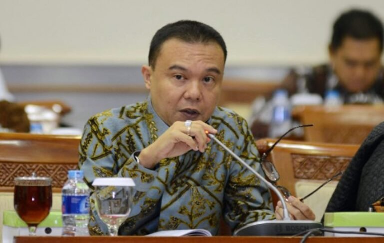 Wakil Ketua DPR Sufmi Dasco. Foto: ist