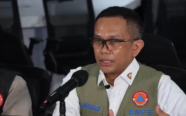 Kepala Pusat Data, Informasi dan Komunikasi Kebencanaan BNPB Abdul Muhari. Foto: Dokumentasi BNPB
