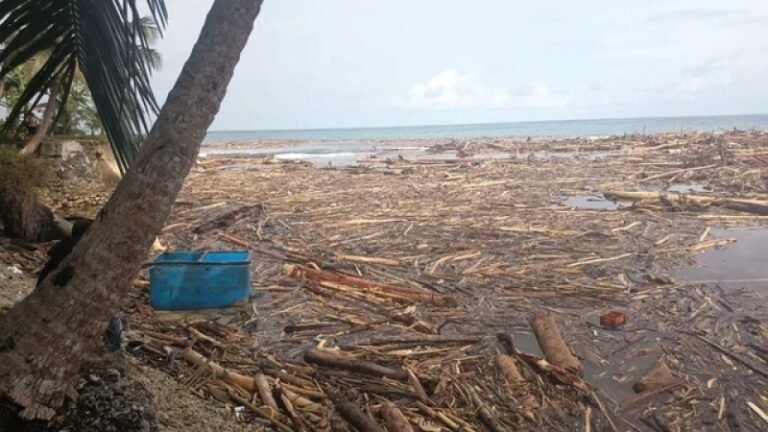 Kondisi pesisir Desa Bawozaua, Nias Selatan, pada Minggu (30/11/2025). Diduga kayu-kayu itu hanyut dari Sibolga. Foto: ist