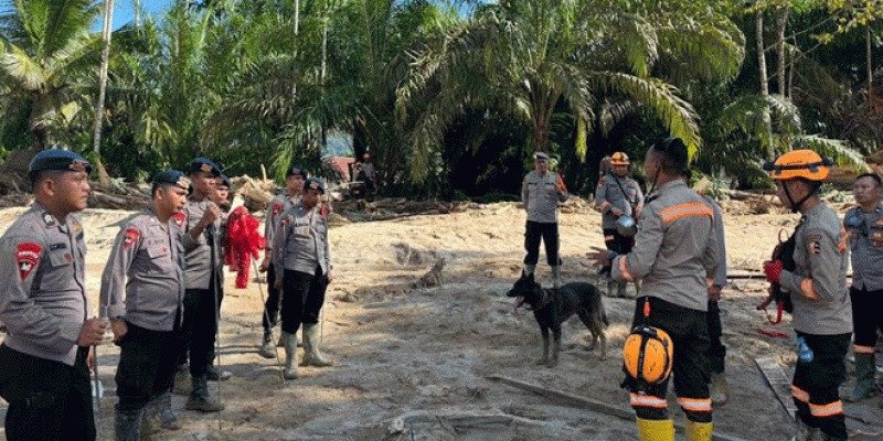 Personel Polda Sumut melakukan pencarian korban bencana alam. Foto: Humas Polda Sumut