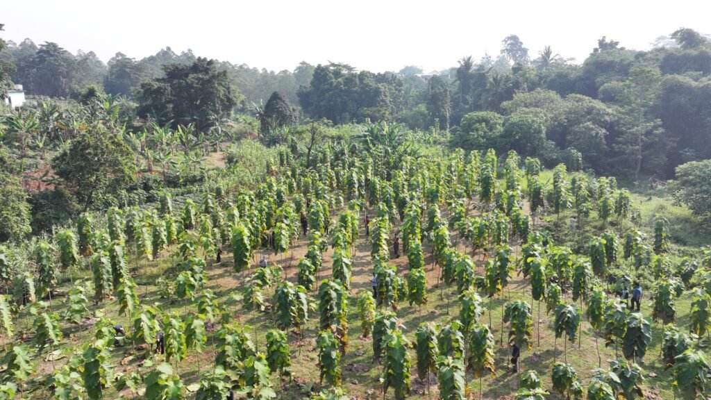 Pemkab Bogor terus memperkuat komitmennya dalam menjaga kelestarian lingkungan melalui pembangunan hutan kota yang tersebar di seluruh wilayah Kecamatan. (Foto.Dok. Diskominfo Kab Bogor)