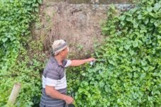 Komar (57), warga RT 01/RW 07, Kampung Kebon Kopi, Desa Pengasinan, Kecamatan Gunung Sindur, harus jalani operasi mata akibat terkena serpihan kulit keong. (Foto: Dok. MonitorUpdate.com).