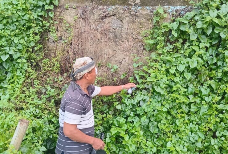 Komar (57), warga RT 01/RW 07, Kampung Kebon Kopi, Desa Pengasinan, Kecamatan Gunung Sindur, harus jalani operasi mata akibat terkena serpihan kulit keong. (Foto: Dok. MonitorUpdate.com).